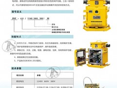 ZBZ-10.0/1140(660)MM照明綜合保護(hù)裝置